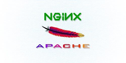  نحوه نصب وب سرور nginx_apache در دایرکت ادمین