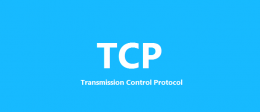 TCP یا Transmission Control Protocol